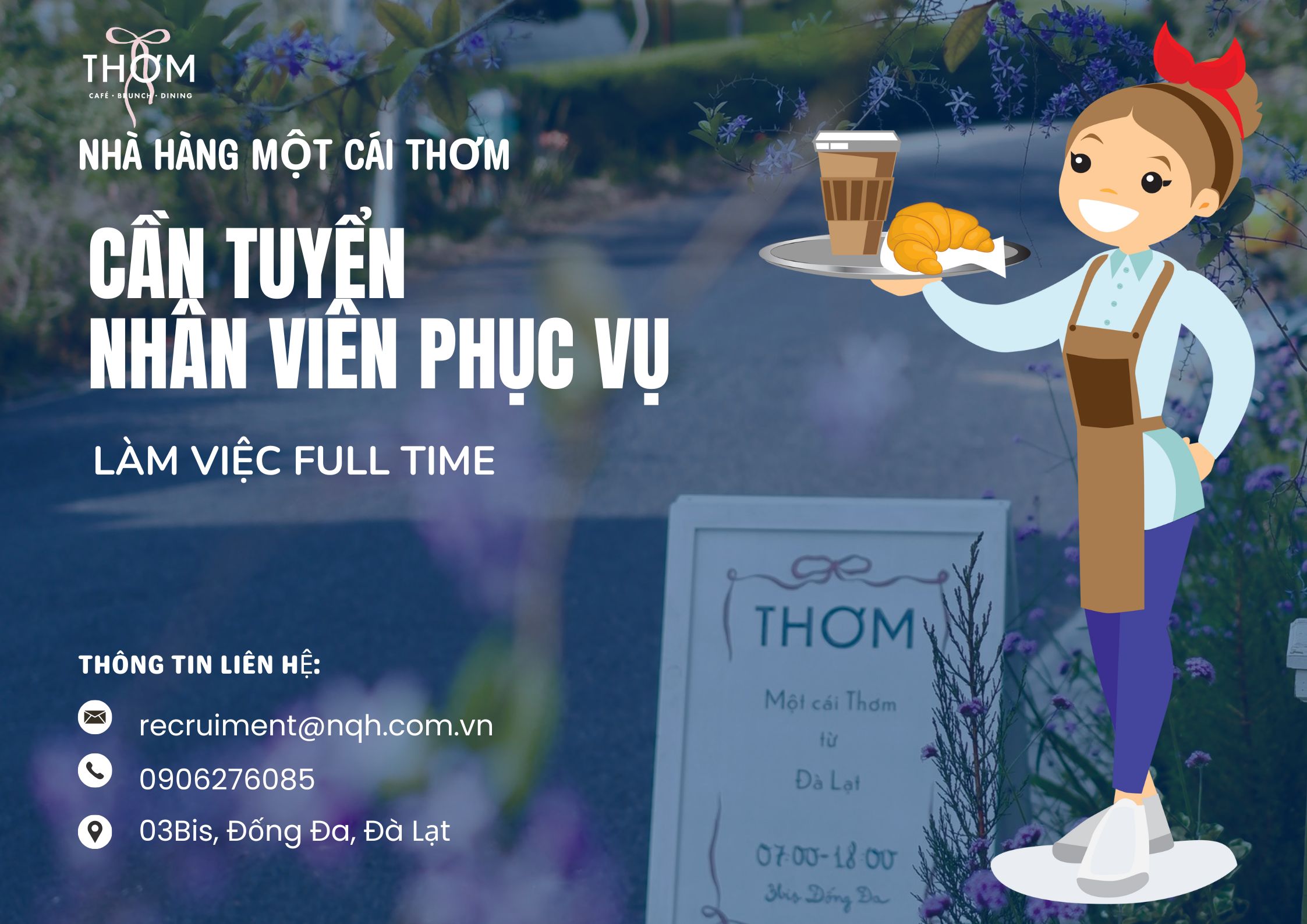 lĩnh vực hoạt động